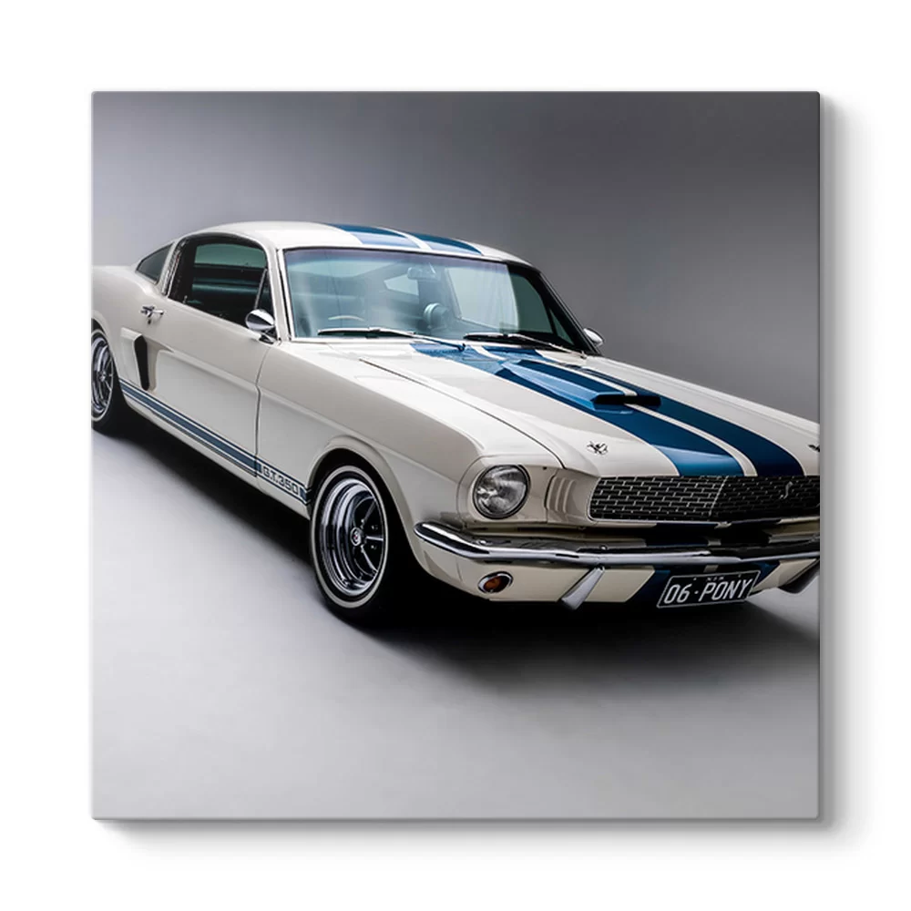 Ford Mustang Cobra Tablosu - Model 3